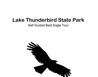 Preview of Self-Guided Bald Eagle Tour Packet